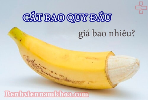 Cắt bao quy đầu bao nhiêu tiền