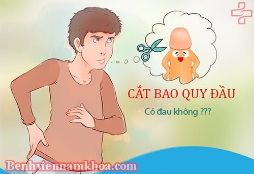 Cắt bao quy đầu có đau không?