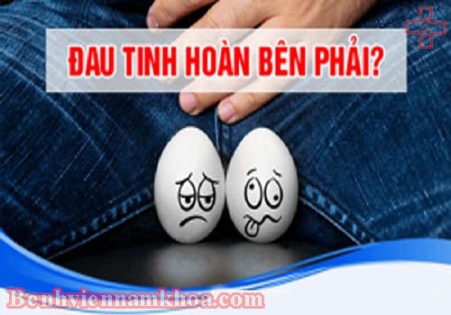 Đau tinh hoàn bên phải