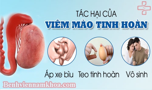 HAV là gì? Ý nghĩa của việc xét nghiệm anti HAV