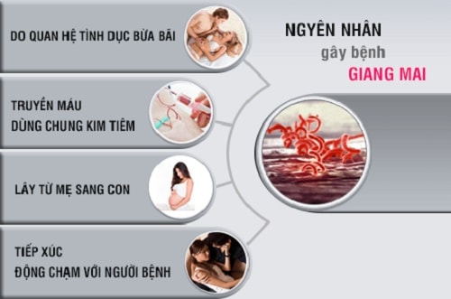 Mối hiểm họa đến từ giang mai
