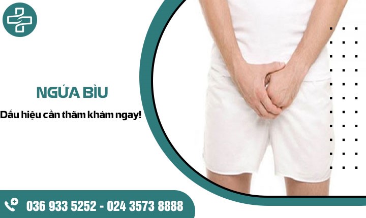 Ngứa bìu nguyên nhân do đâu? 6 bệnh lý nam giới cần lưu ý