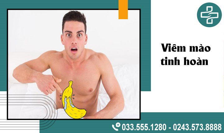 Nguyên nhân và cách điều trị bệnh viêm tinh hoàn