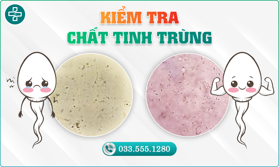 Kiểm tra chất lượng tinh trùng với bác sĩ chuyên khoa