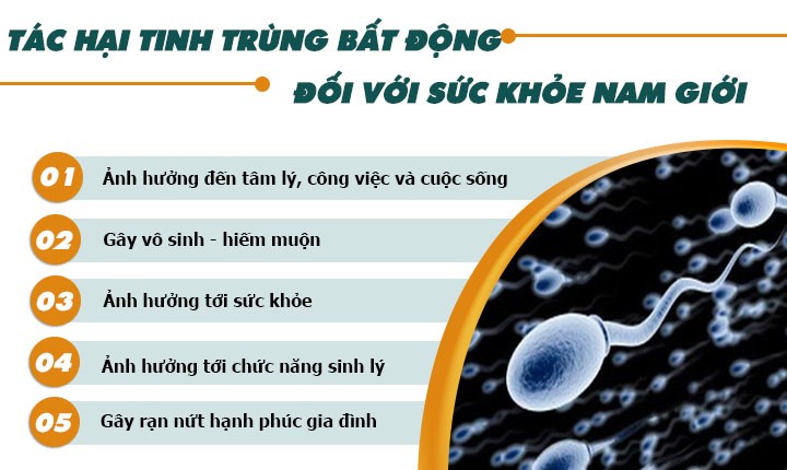 Tinh trùng bất động – Cần thăm khám ngay nếu không muốn bị vô sinh