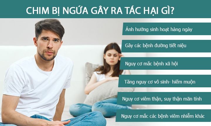 Chim bị ngứa do đâu? Bị ngứa chim phải làm sao? Tư vấn từ chuyên gia