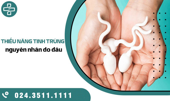 Thiểu năng tinh trùng: Cách nhận biết, nguyên nhân và chữa trị như thế nào hiệu quả?
