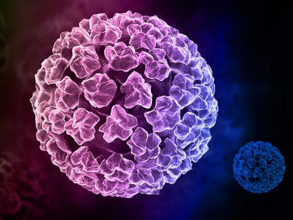 Xét nghiệm HPV bằng cách nào